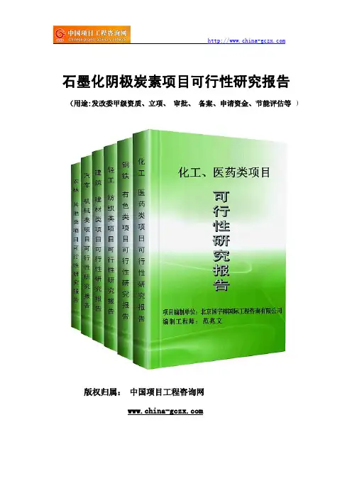 石墨化阴极炭素项目可行性研究报告(专业经典案例)
