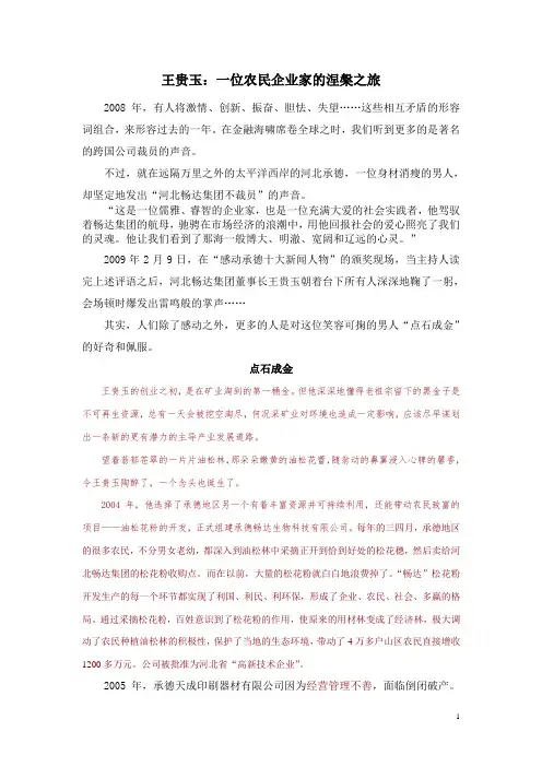 畅达集团王贵玉先进事迹