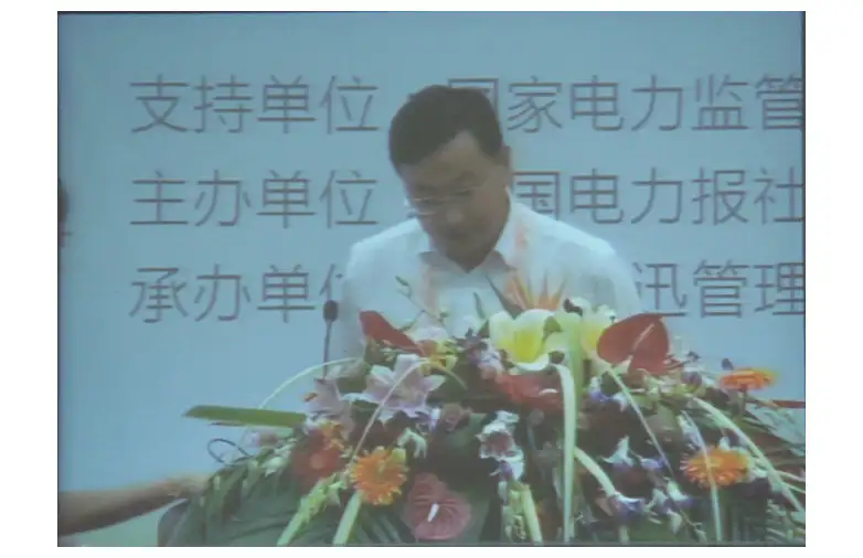 电动汽车战略下的动力电池企业面临的机遇与挑战-张仁柏