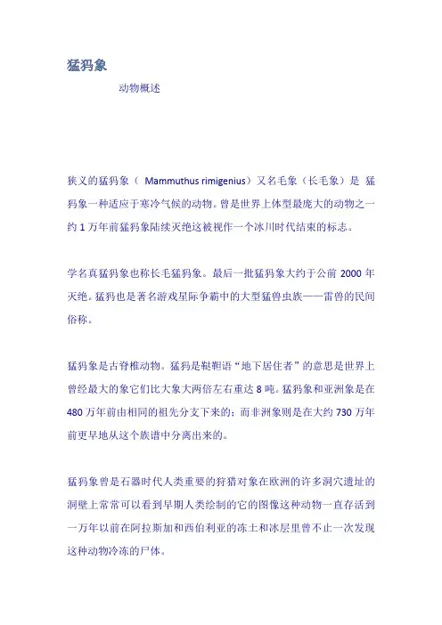 猛犸象