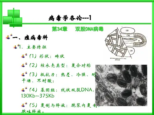 马立克氏病