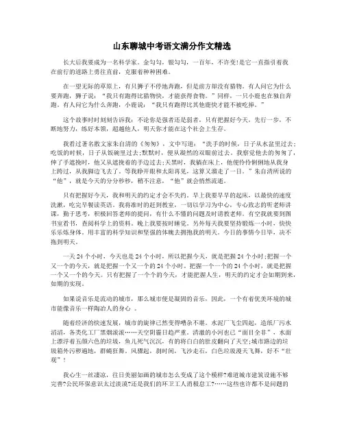 山东聊城中考语文满分作文精选