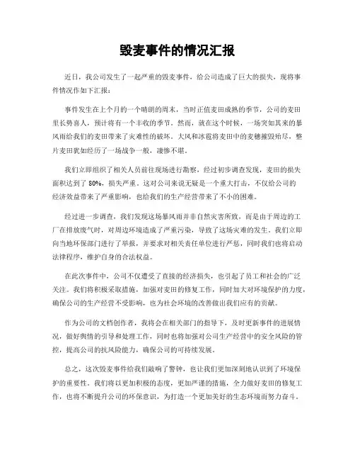 毁麦事件的情况汇报