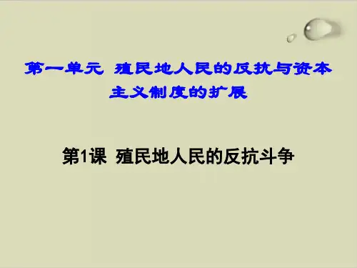 殖民地人民的反抗斗争ppt完美版1