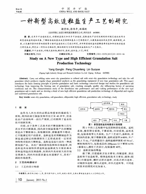一种新型高效造粒盐生产工艺的研究