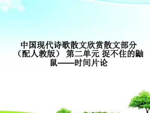 中小学优质课件捉不住的鼬鼠课件.ppt