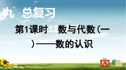 2021年北师版数学四年级上册第1课时 数与代数(一)——数的认识课件