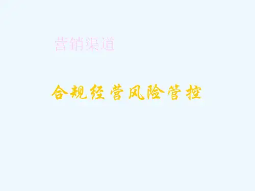 营销渠道合规经营风险管控(36页)