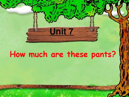 人教版七年级英语上册七年级英语How much are these pants课件