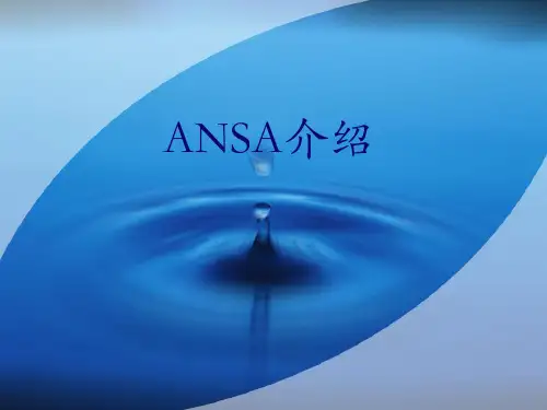 Ansa(有限元前处理软件)