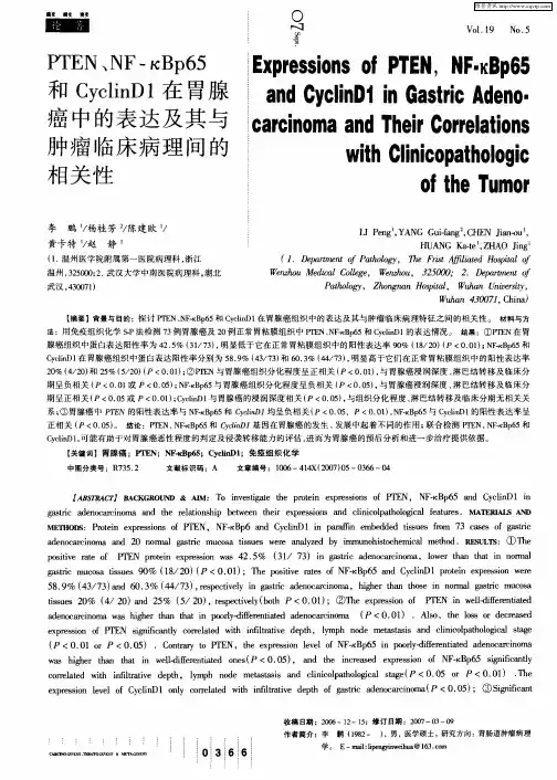 PTEN、NF-κBp65和CyclinD1在胃腺癌中的表达及其与肿瘤临床病理间的相关性