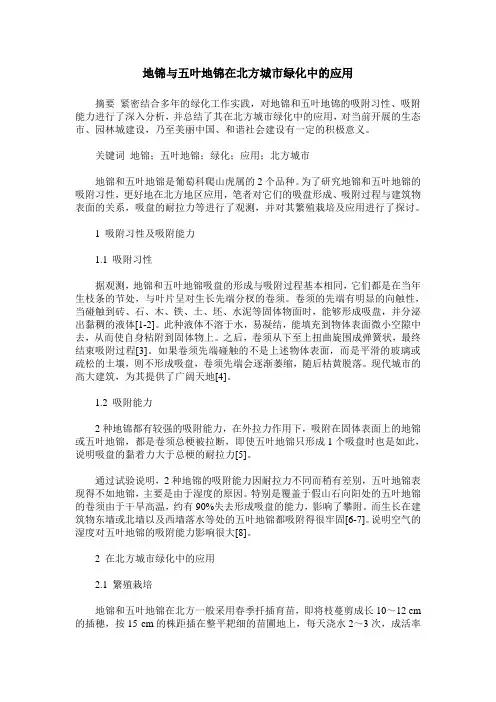 地锦与五叶地锦在北方城市绿化中的应用