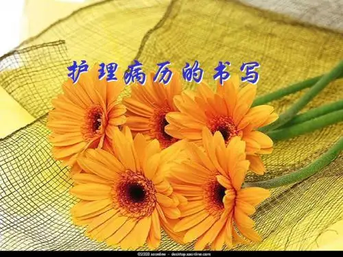3、护理病历的书写规范