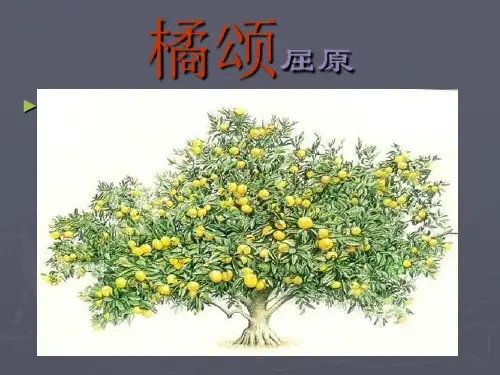 《橘颂》