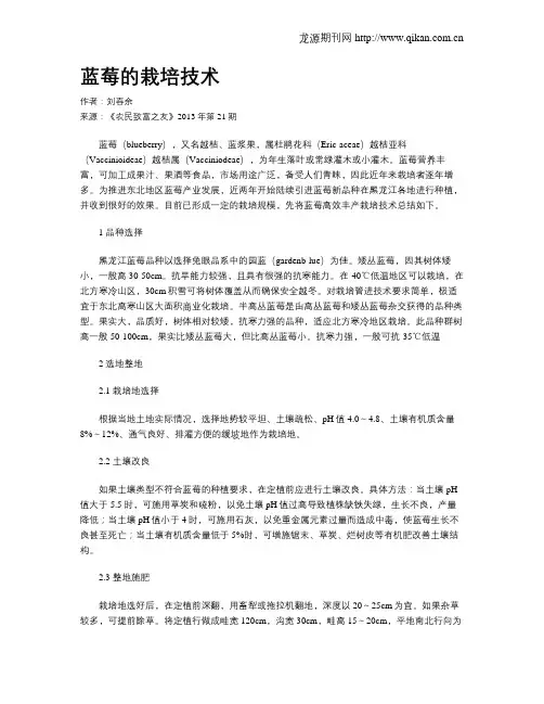 蓝莓的栽培技术