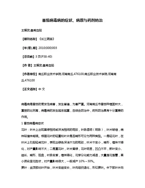 番茄病毒病的症状、病原与药剂防治