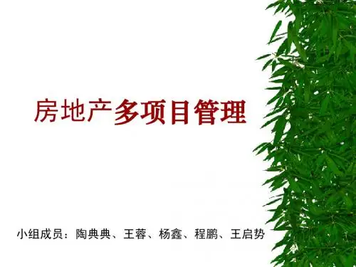 房地产开发多项目管理体系