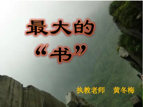 二年级语文下册19课《最大的书》ppt汇编