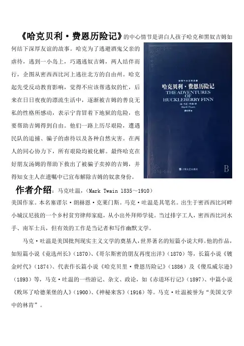 哈克贝利费恩历险记