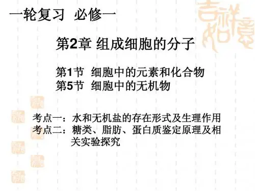 一轮复习必修一第二章第一、五节ly