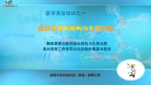 皮肤基本结构与生理功能