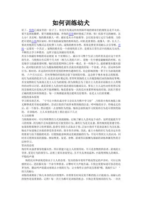 如何训练幼犬