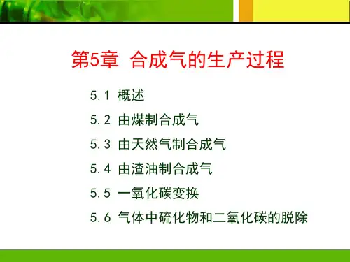 第5章 合成气的生产过程2010