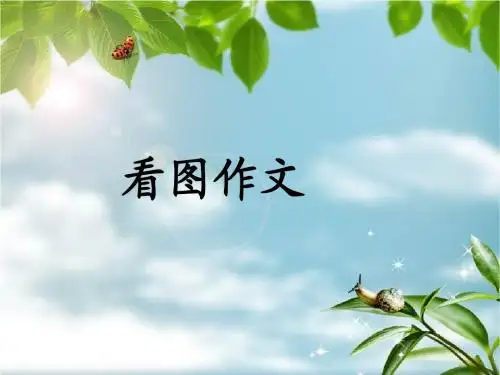 小二看图作文_