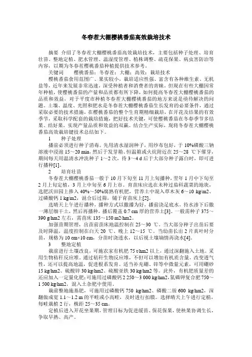 冬春茬大棚樱桃番茄高效栽培技术