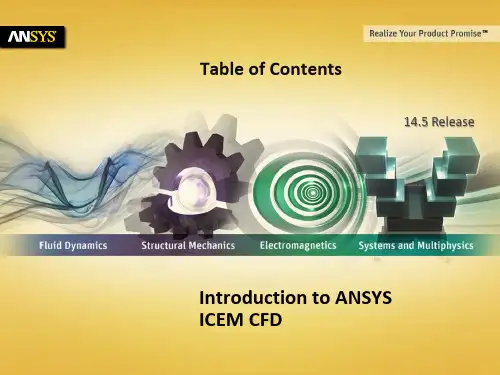ICEM-Intro_14.5_TOC