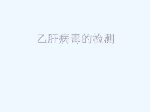 乙肝病毒的检测课件