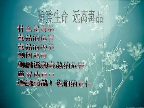 毒品