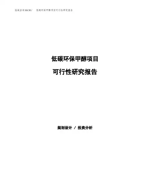 低碳环保甲醇项目可行性研究报告发改委立项模板 (1)