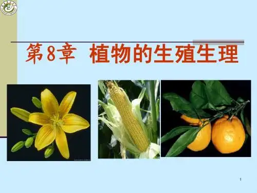 第8章 植物的生殖生理
