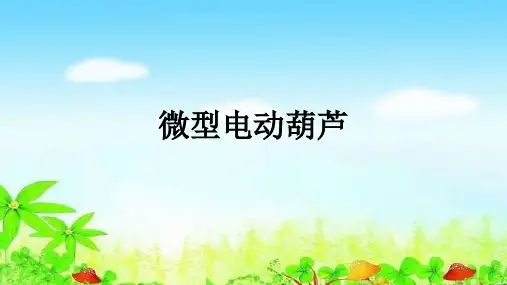 微型电动葫芦