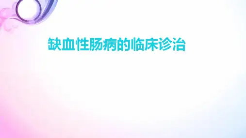 (医学课件)缺血性肠病PPT幻灯片