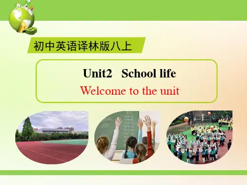2021—2022学年牛津译林版八年级英语上册Unit2课件