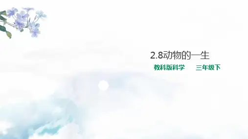 教科版科学小学三年级下册2.8动物的一生(教学课件)