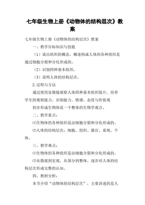七年级生物上册《动物体的结构层次》教案