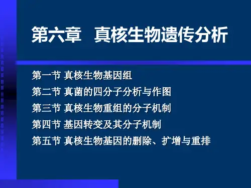 遗传学 第六章 真核生物遗传分析