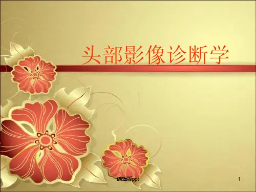 头部CT解剖及诊断基础PPT课件