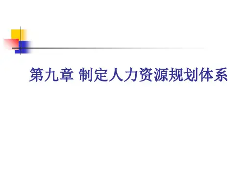 制定人力资源规划体系