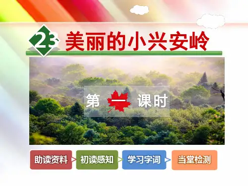 部编人教版三年级语文上册《23. 美丽的小兴安岭【第1课时】》课件