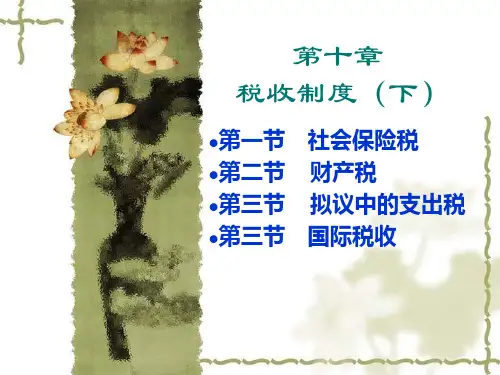 10第十章财政制度(下)