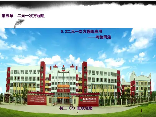 应用二元一次方程组——鸡兔同笼ppt课件