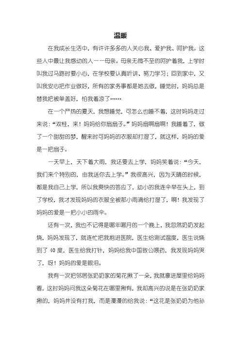 六年级作文：温暖作文800字