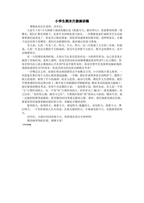 小学生期末升旗演讲稿
