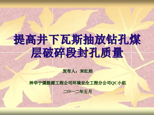 提高井下瓦斯抽放钻孔煤层破碎段封孔质量(1)