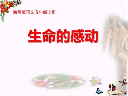 生命的感动 PPT优秀课件3