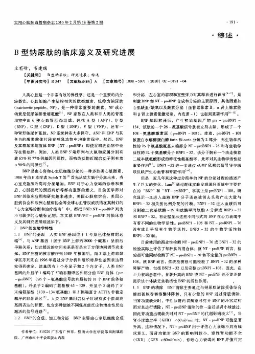 B型钠尿肽的临床意义及研究进展